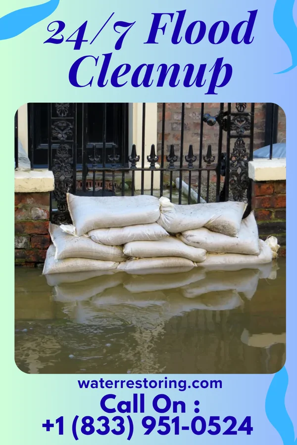 24/7 Flood Cleanup in Remsen, IA