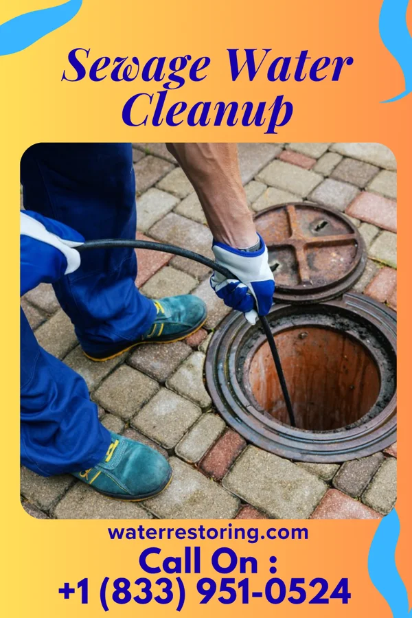 Sewage Water Cleanup in Remsen, IA